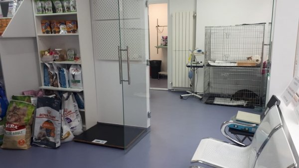 Geo's Medical Vet - Cabinet veterinar